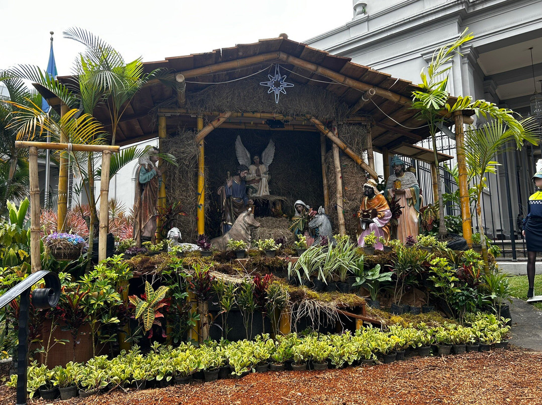 Hotel Milan Costa Rica主图