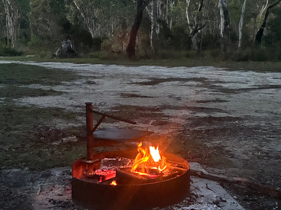Boonoo Boonoo National Park-坦特菲尔德必去景点