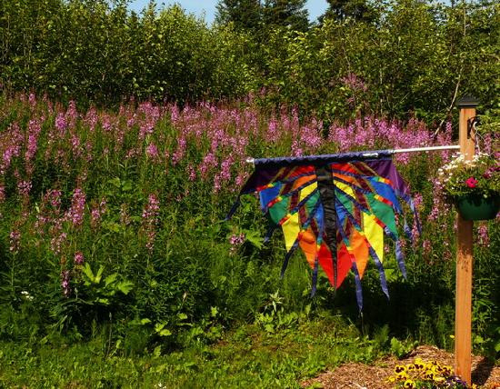 Fire and Ice Lodging主图