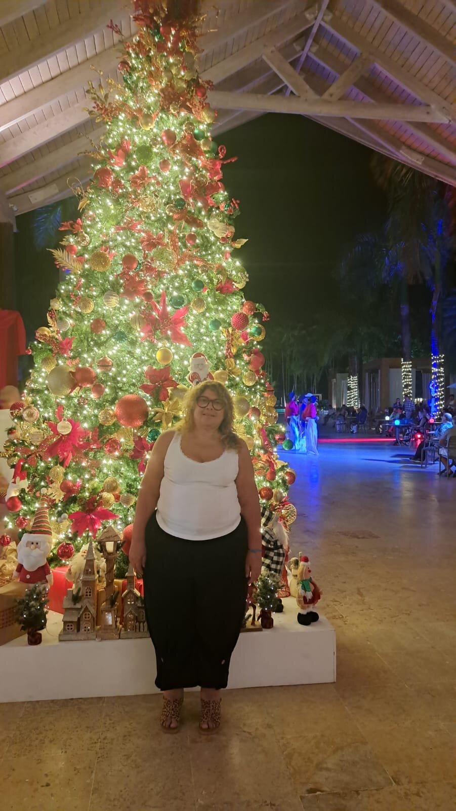 Viva V Samana By Wyndham A Trademark Adults All Inclusive-官方