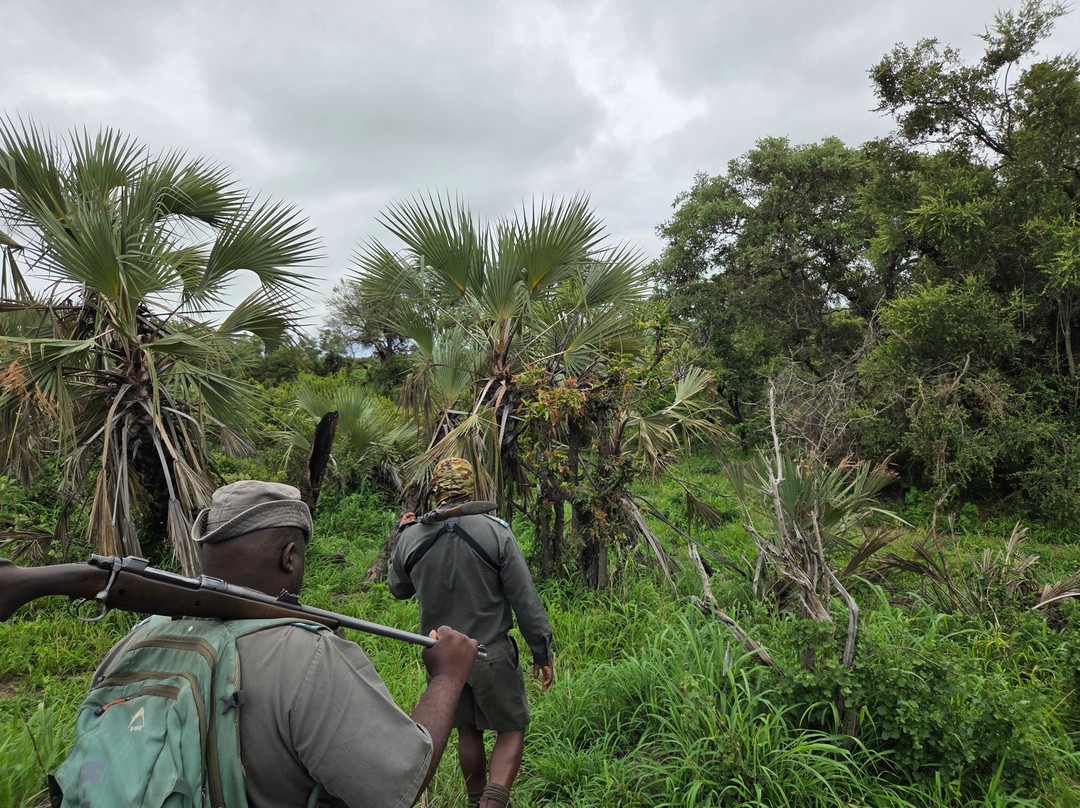 Mathikithi Wilderness Trail-克鲁格国家公园必去景点