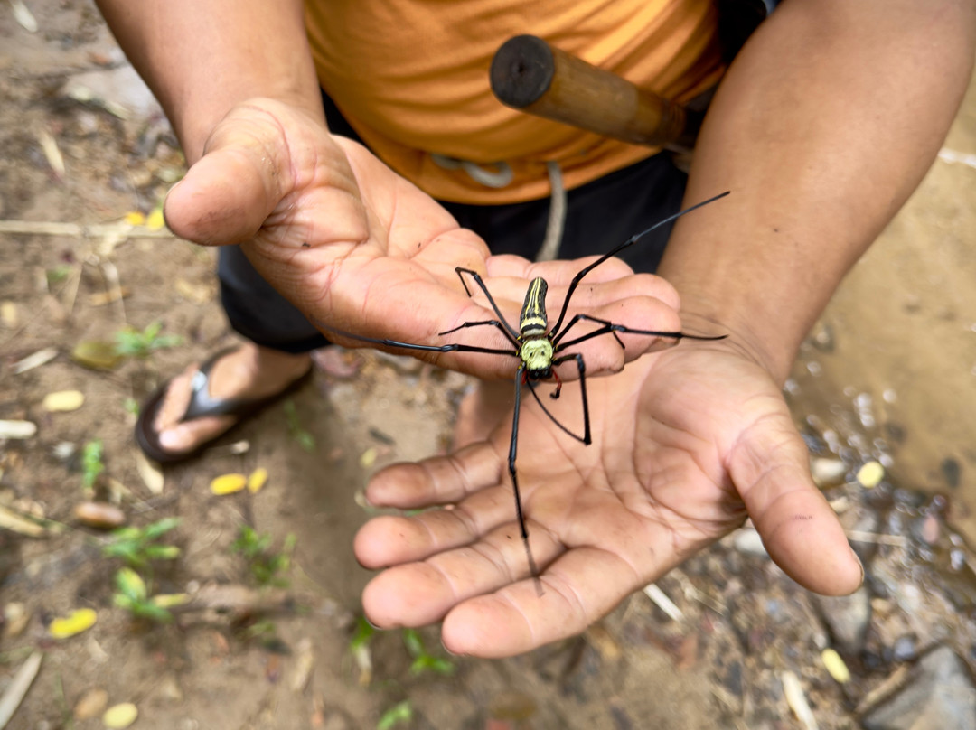 Chiang Mai Eco Trekking-清迈必去景点