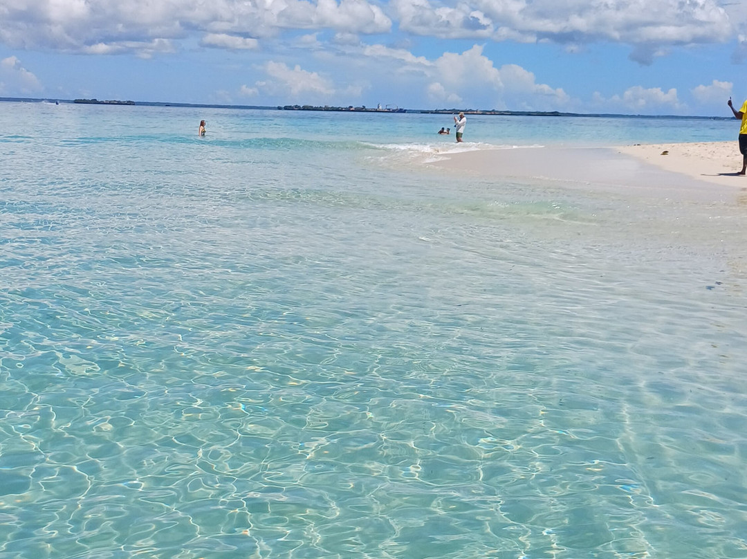 Blue - Green Zanzibar Tours and Safari-石头城必去景点