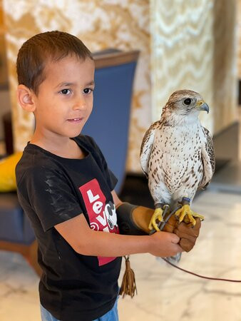 洲际阿布扎比主图