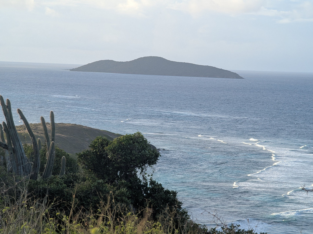 J&t Adventure-Frederiksted必去景点
