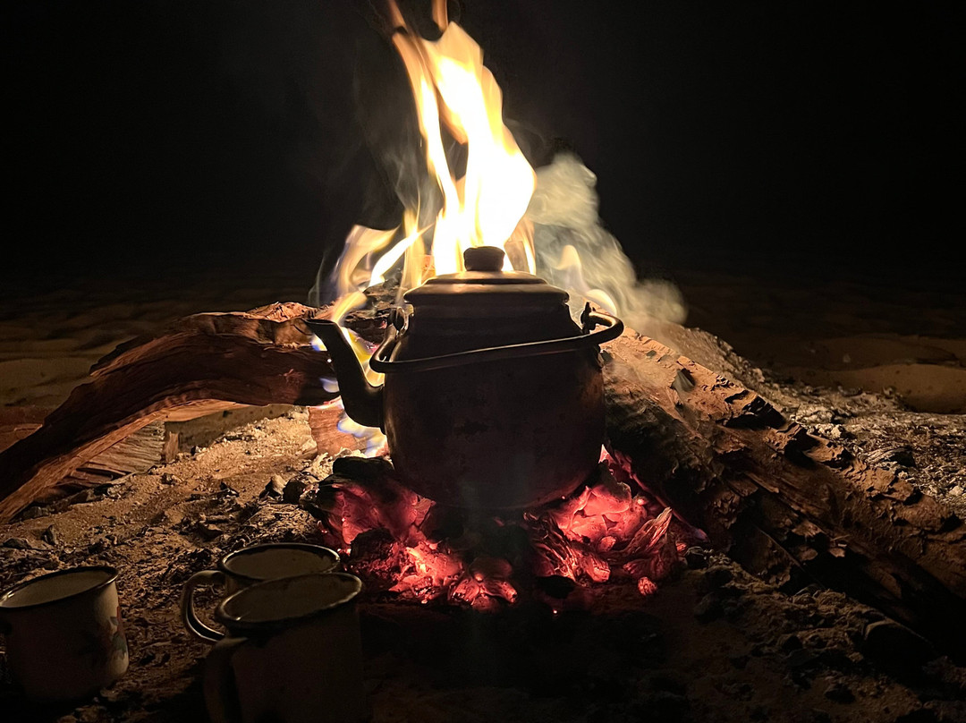 tamer safari-开罗必去景点