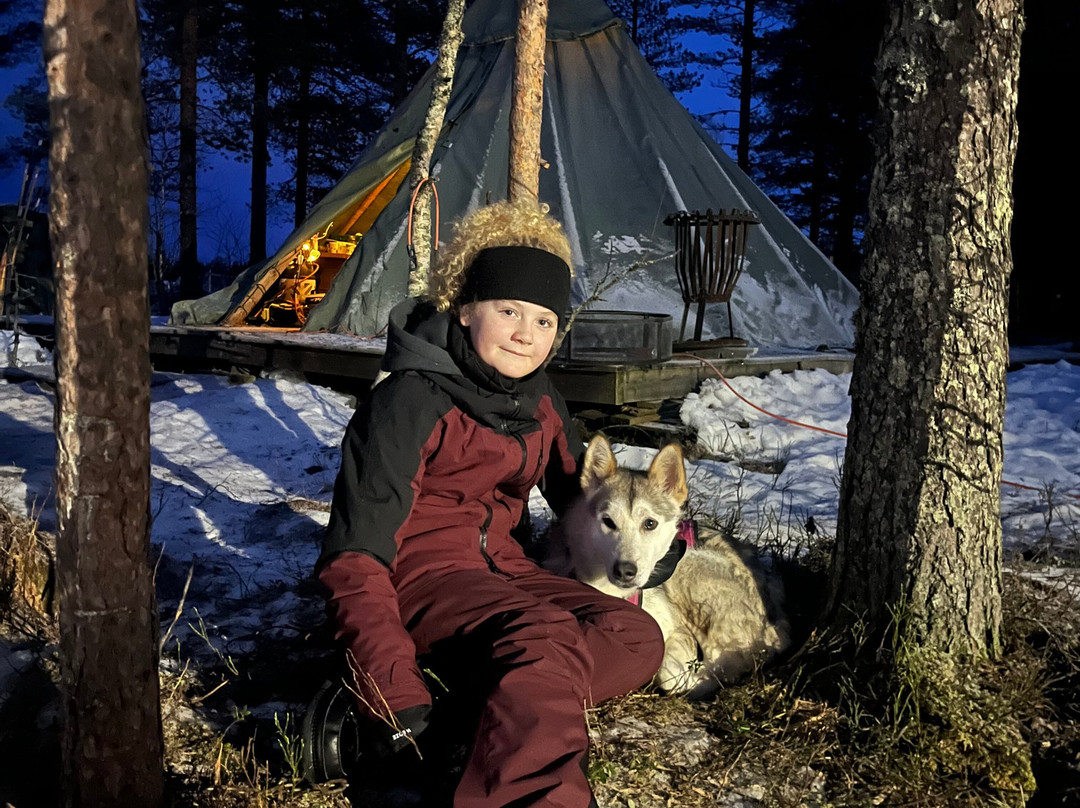 Trysil Husky-Torberget必去景点