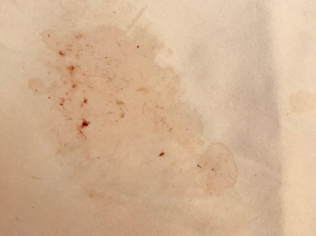 Baymont by Wyndham Lake Park Valdosta I75主图