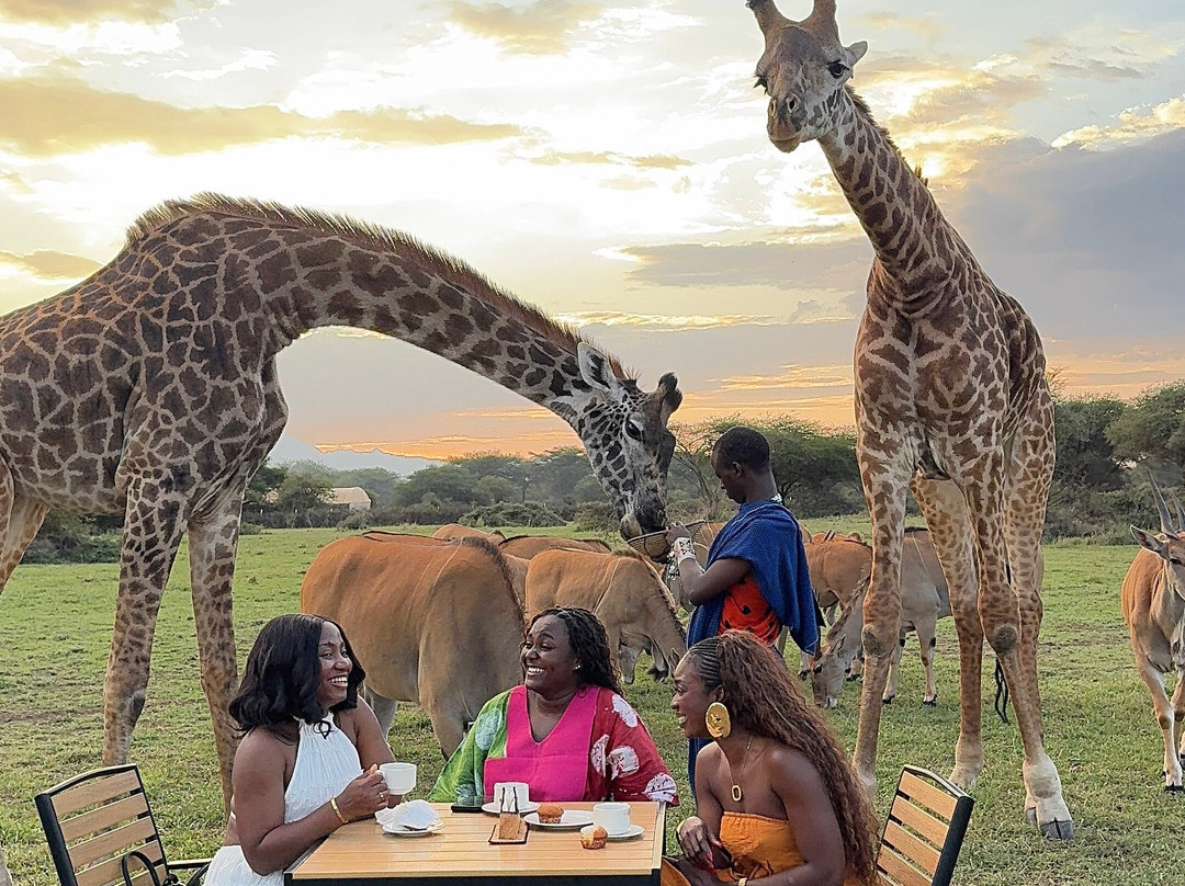 Kolekole Zanzibar Tour And Safaris-Unguja City必去景点