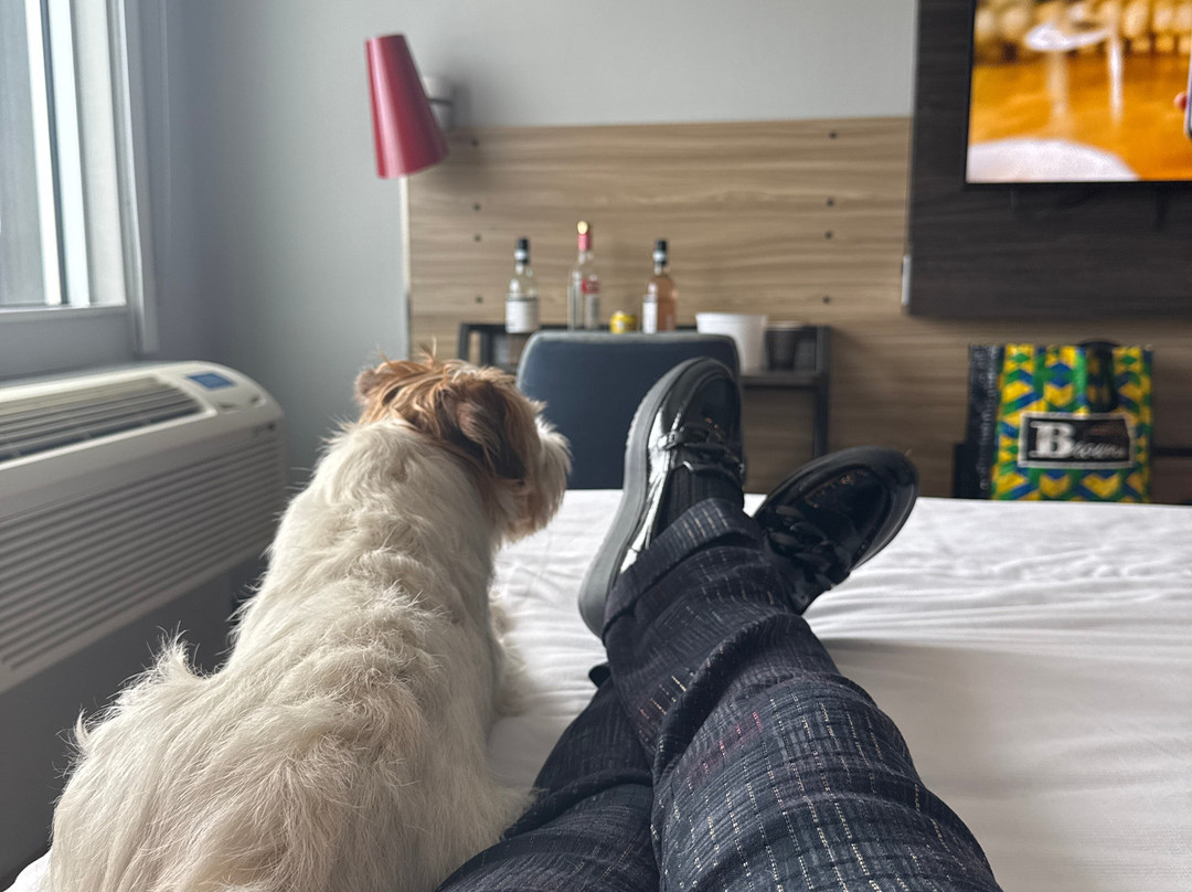 Tru By Hilton Yarmouth主图