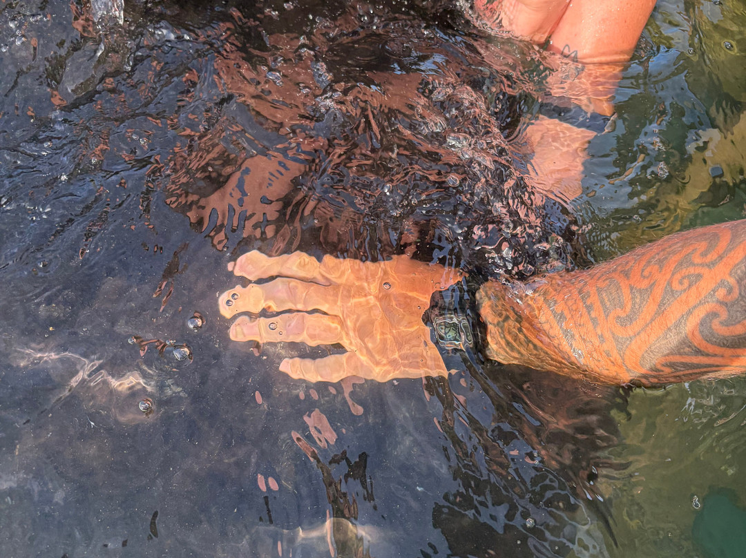 Dive Tatapouri-Gisborne Region必去景点