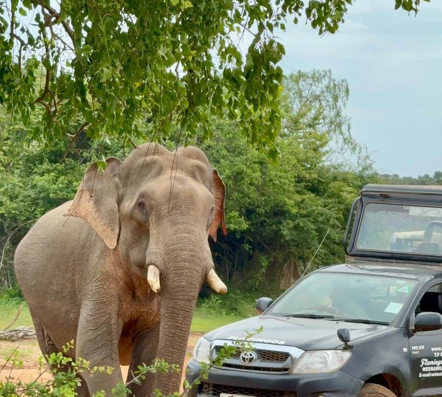 Tour Buddy-卡图纳耶克必去景点
