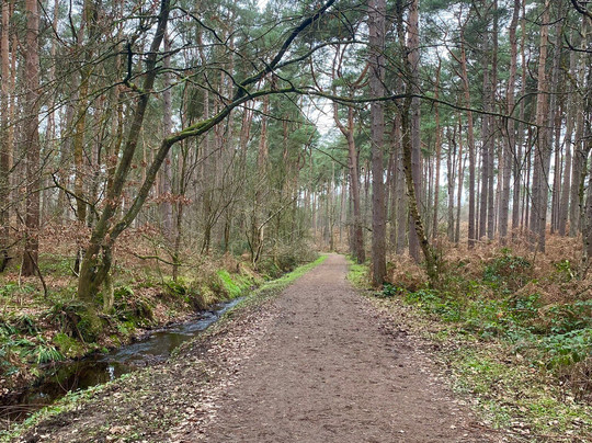 Delamere Forest-Delamere必去景点