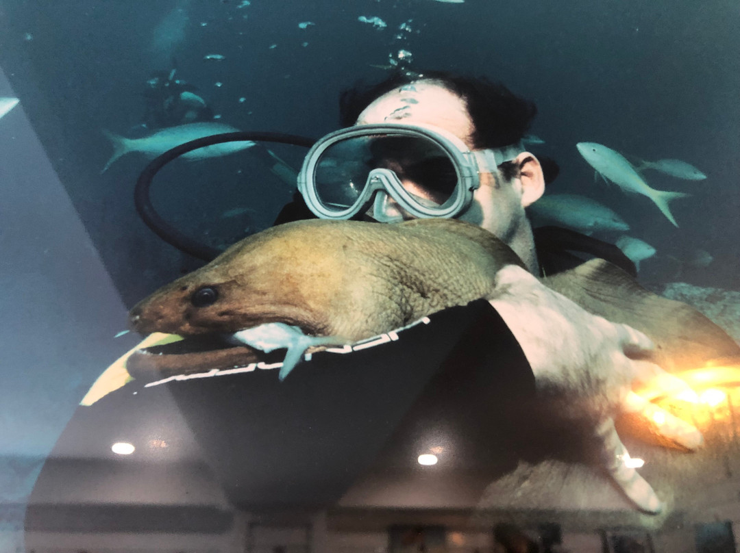 Captain Slate's SCUBA Adventures-Tavernier必去景点