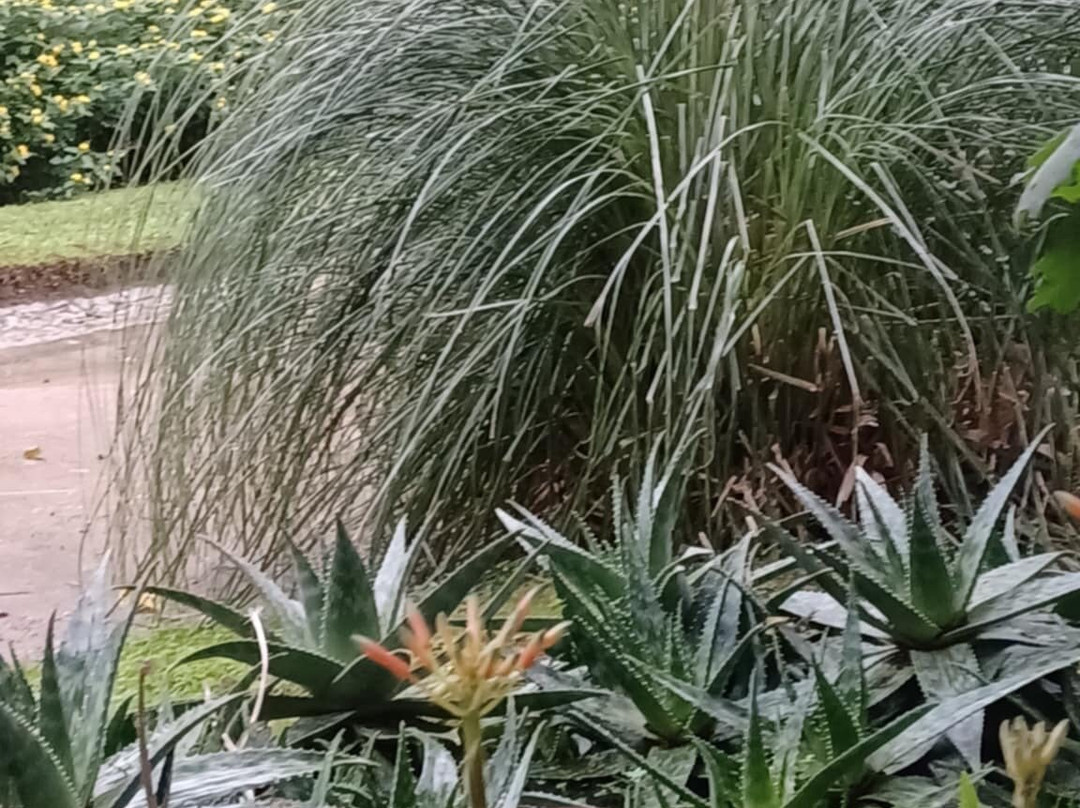 Palacio de Dom Manuel-埃武拉必去景点