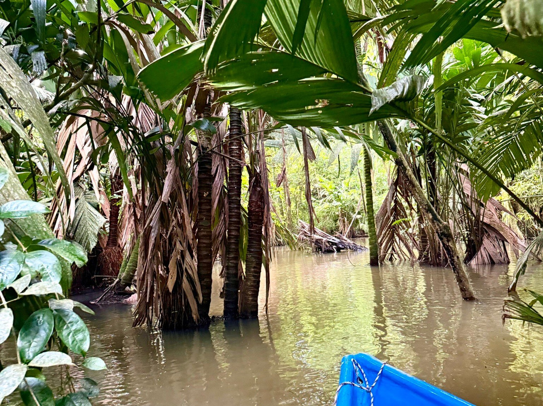 Costa Rica Roots Tours-托图杰多必去景点