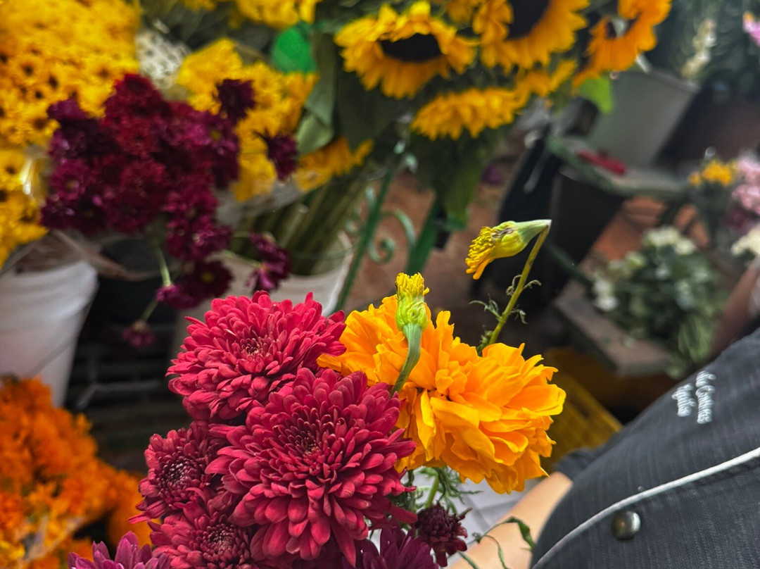 Mercado Ignacio Ramirez-圣米格尔护城必去景点