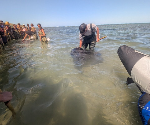 Dive Tatapouri-Gisborne Region必去景点