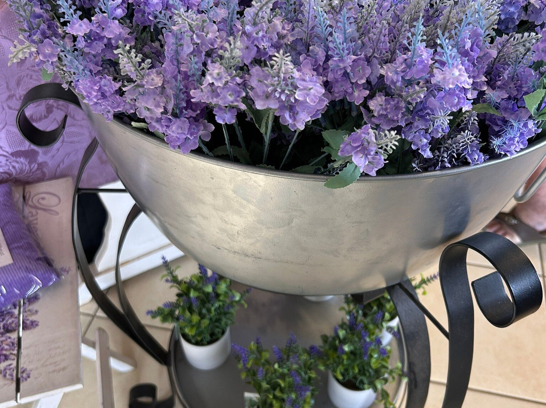 Amandine Lavender-Bargara必去景点