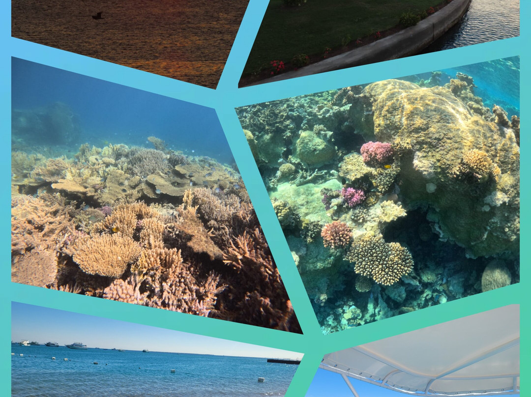 Erlebnis Ägypten-Safaga必去景点