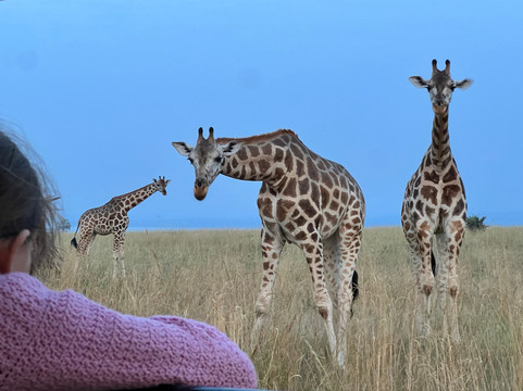 Muzbag Safaris-坎帕拉必去景点