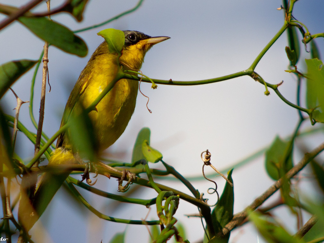 Complejo Costa Alta主图