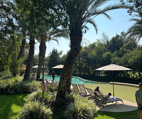 Huayacán Cuernavaca Curamoria Collection主图