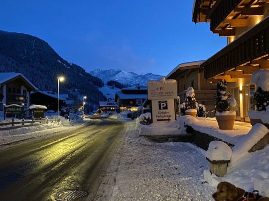 Adler Inn Tyrol Mountain Resort Superior主图