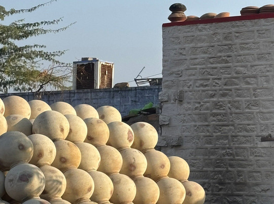 Bishnoi Village Safari-焦特布尔必去景点