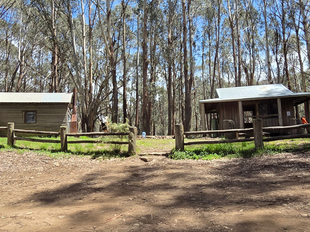 High Country Scenic Tours-曼斯菲尔德必去景点