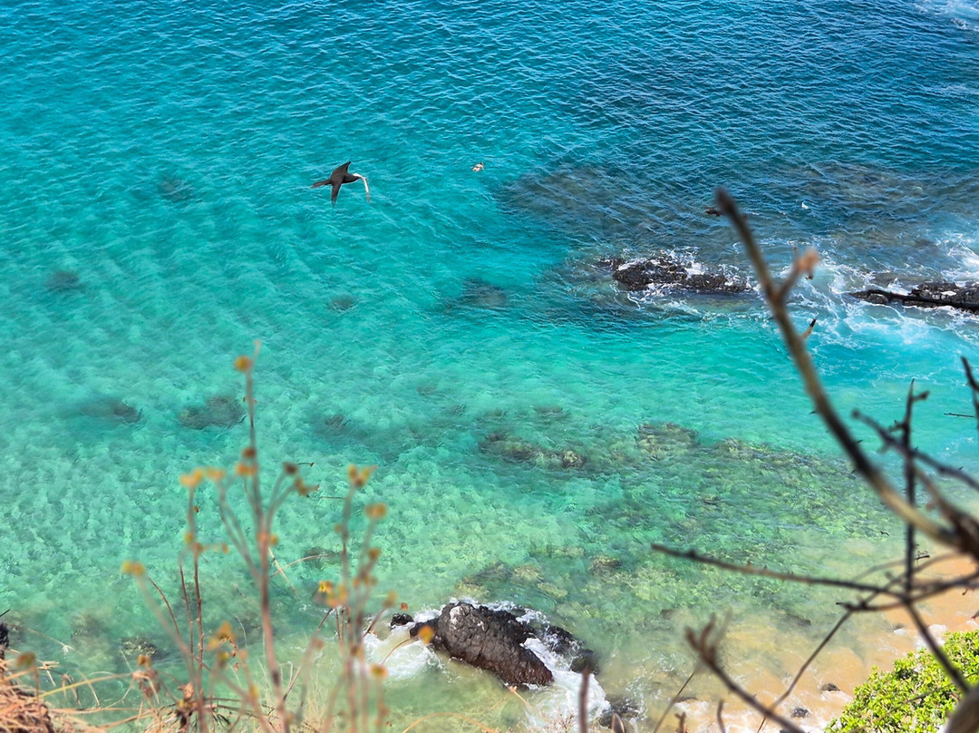 Noronha Surf Hoe-Vila dos Remedios必去景点