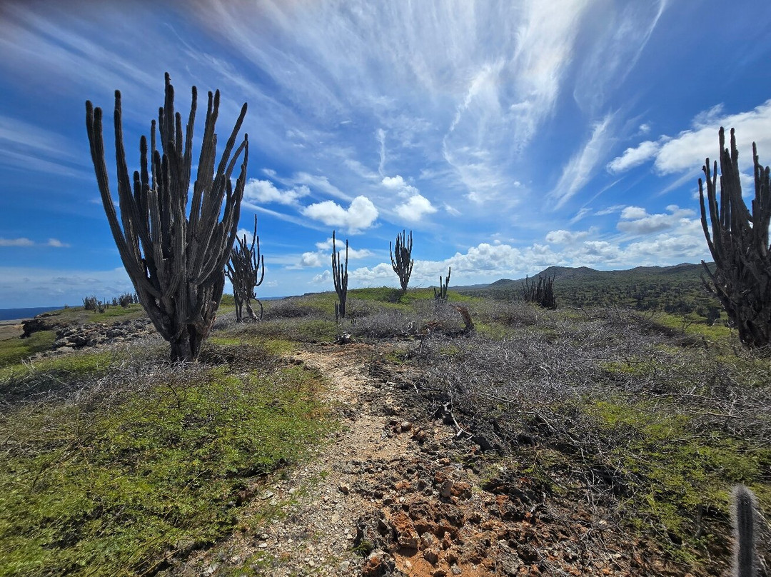 Washington Slagbaai National Park-Rincon必去景点
