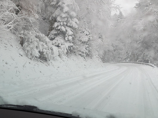 Steph-On-Tour-斯特拉斯堡必去景点