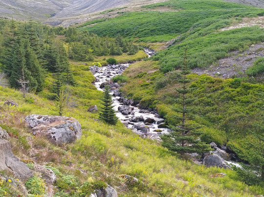 Vesturbyggð-Patreksfjordur必去景点