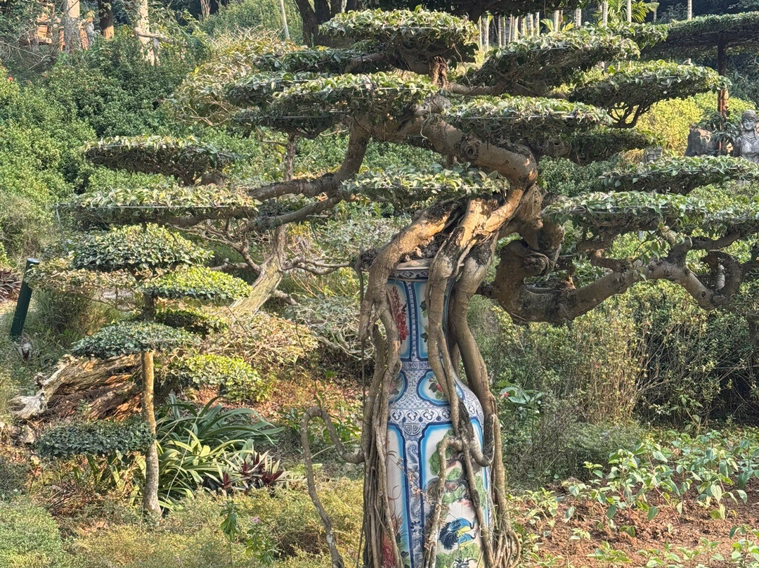 Thung Nham Bird Park-Ninh Hai必去景点