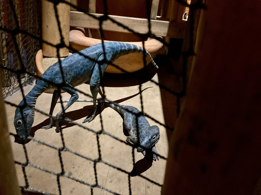 Ark Encounter-Williamstown必去景点