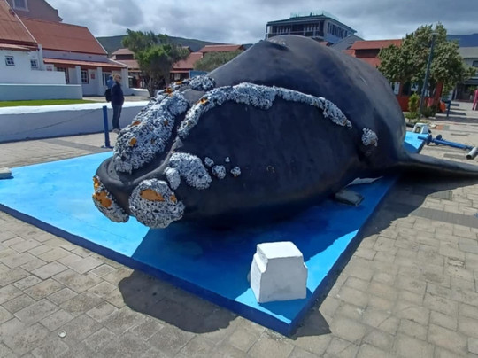 Whale Statue-Sandbaai必去景点