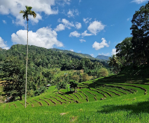 Knuckles Nature Tours-Teldeniya必去景点