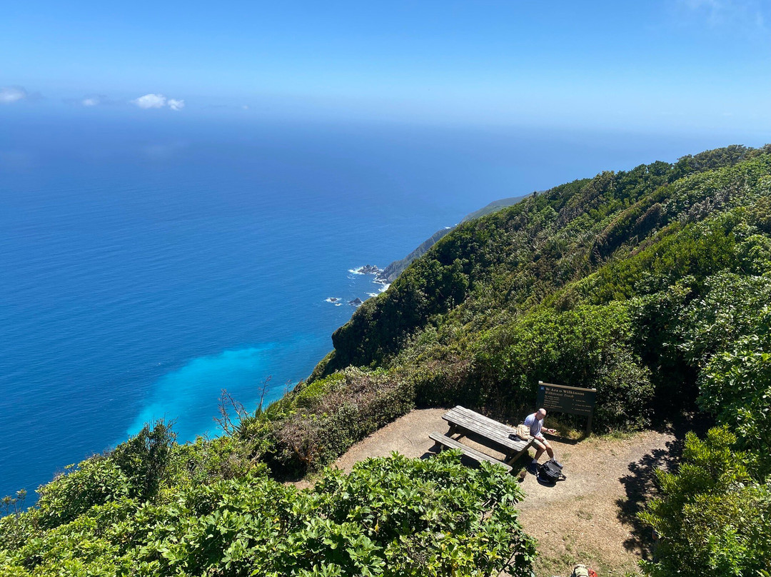 Kapiti Island Eco Experience-帕拉帕拉乌姆必去景点