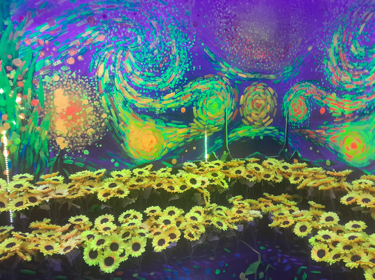 Metashow Exhibition-胡志明市必去景点