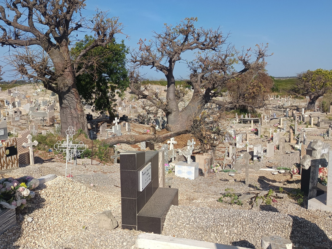 Bacary Tour-Nianing必去景点