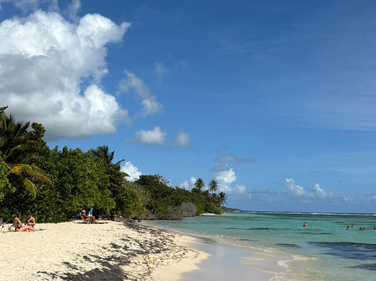 Blue Pearl-瓜德罗普岛必去景点