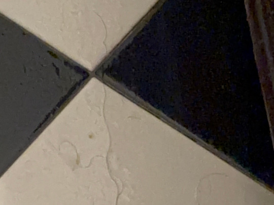 Ponce Plaza Hotel & Casino主图