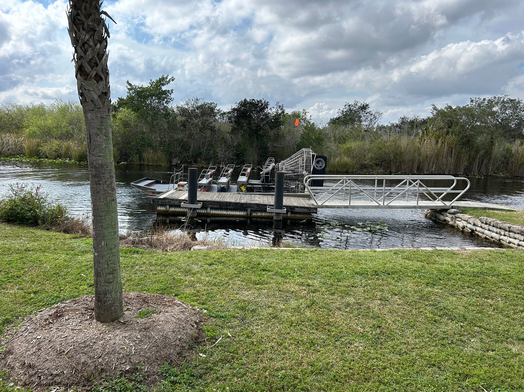 Everglades Swamp Tours-Everglades Wildlife Management Area必去景点