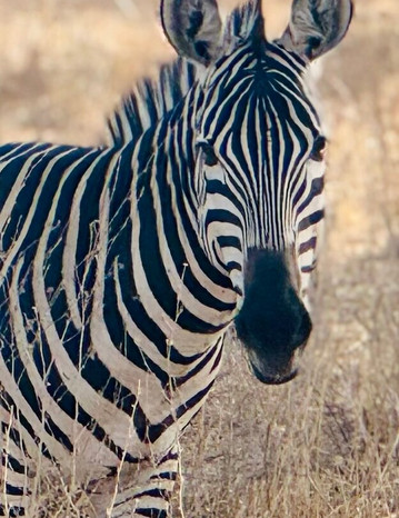 Tanzania Adventure Tours-阿鲁沙必去景点