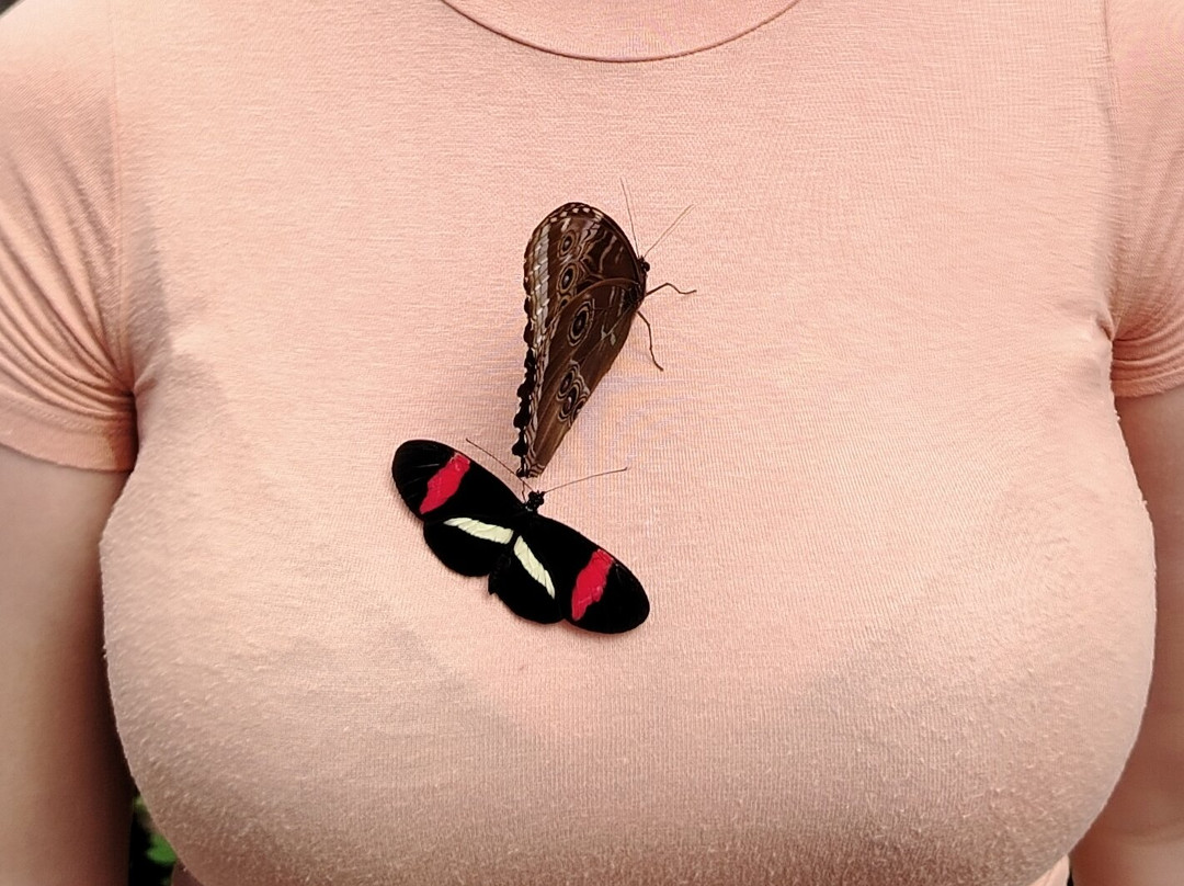 Exciting Travel Costa Rica-阿拉辉拉必去景点