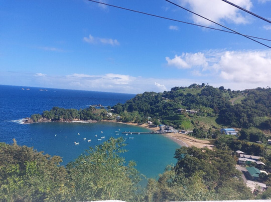 Peter Cox Wildlife Tours-多巴哥必去景点