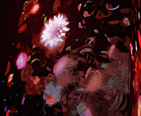 teamLab Phenomena Abu Dhabi-阿布扎比必去景点