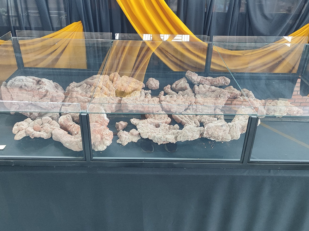 Museum Aristides Carlos Rodrigues-Candelaria必去景点