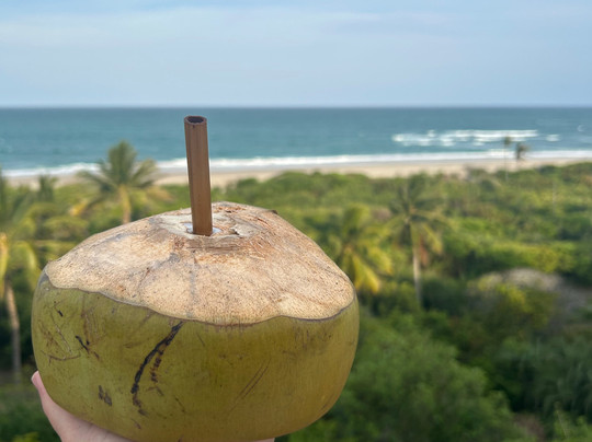 SAFARI, DRIVE & DIVE TOURS-Inhambane必去景点